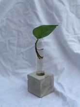 Load image into Gallery viewer, Propagation Vase