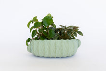 Load image into Gallery viewer, Large cactus planter
