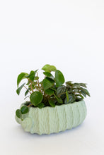 Load image into Gallery viewer, Large cactus planter
